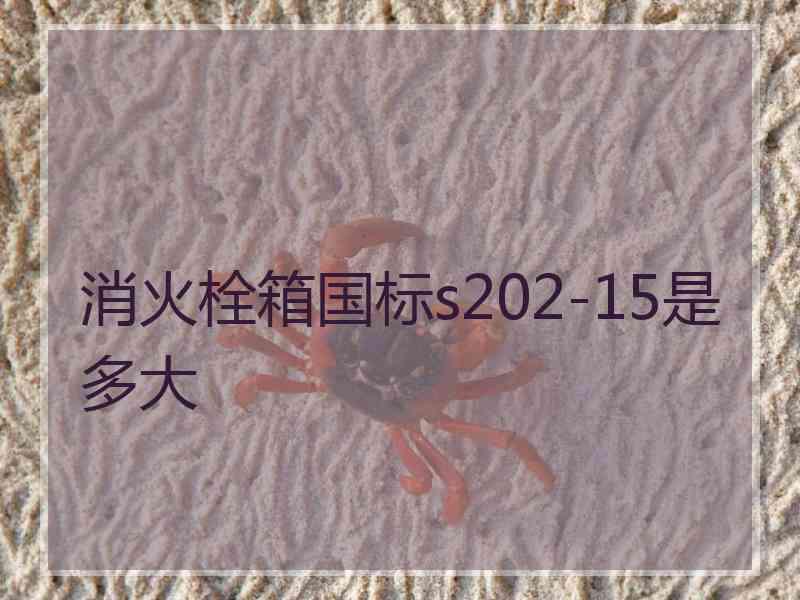 消火栓箱国标s202-15是多大