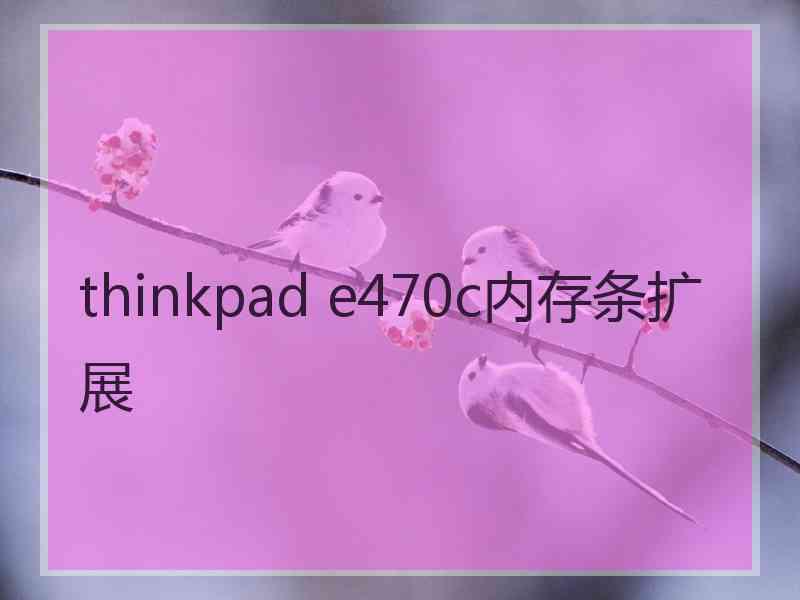 thinkpad e470c内存条扩展