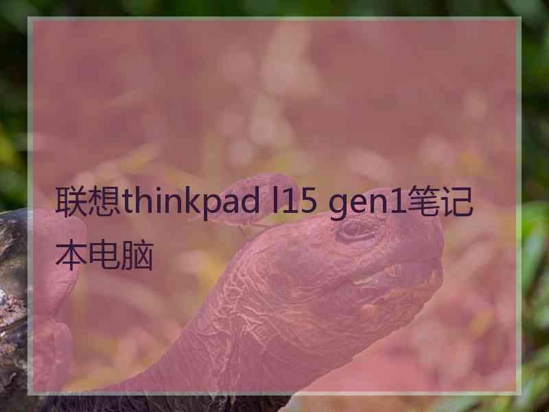 联想thinkpad l15 gen1笔记本电脑