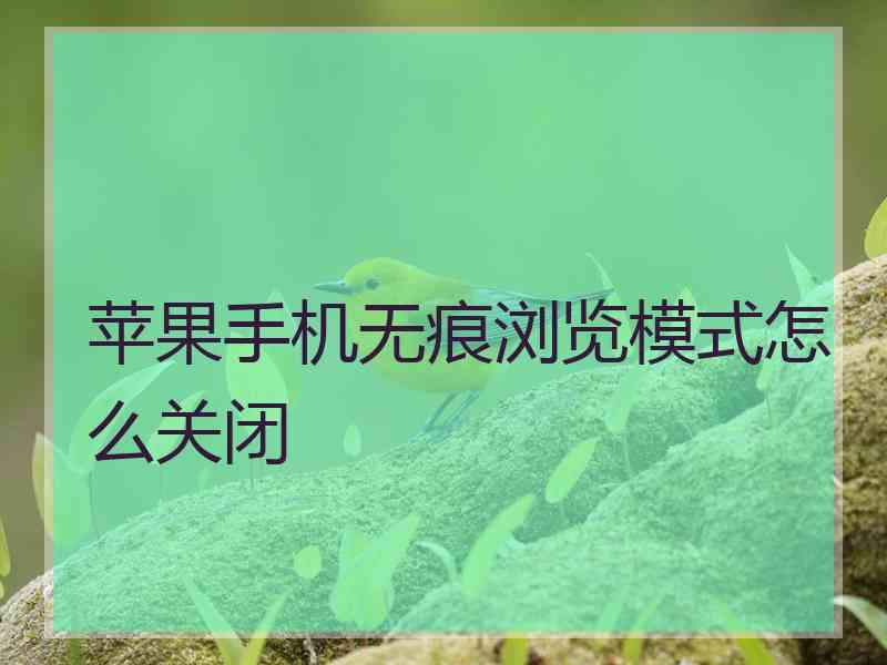 苹果手机无痕浏览模式怎么关闭