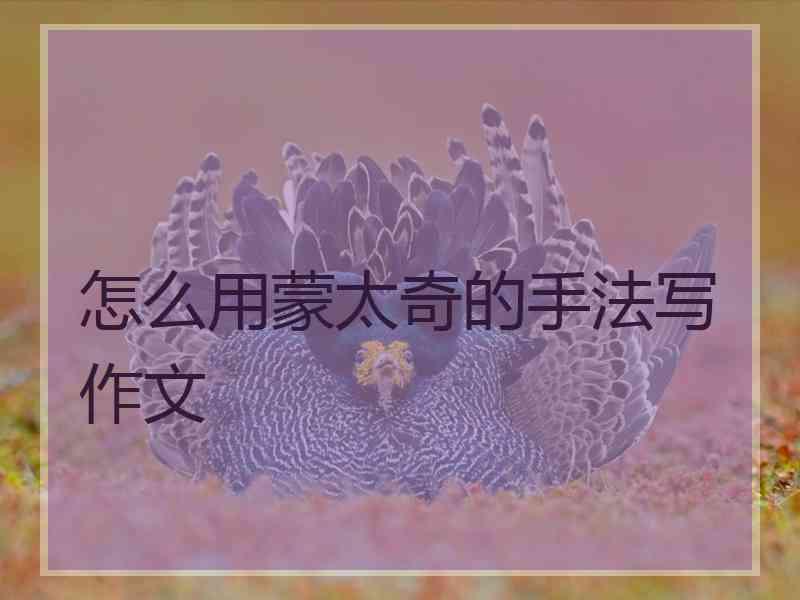 怎么用蒙太奇的手法写作文