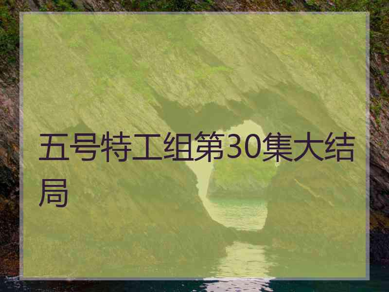 五号特工组第30集大结局