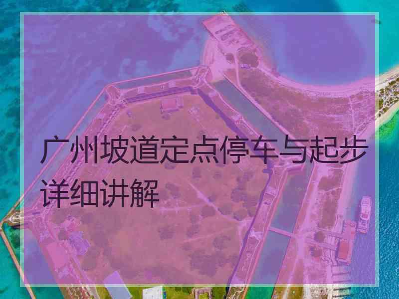 广州坡道定点停车与起步详细讲解