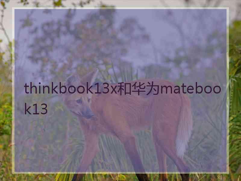 thinkbook13x和华为matebook13