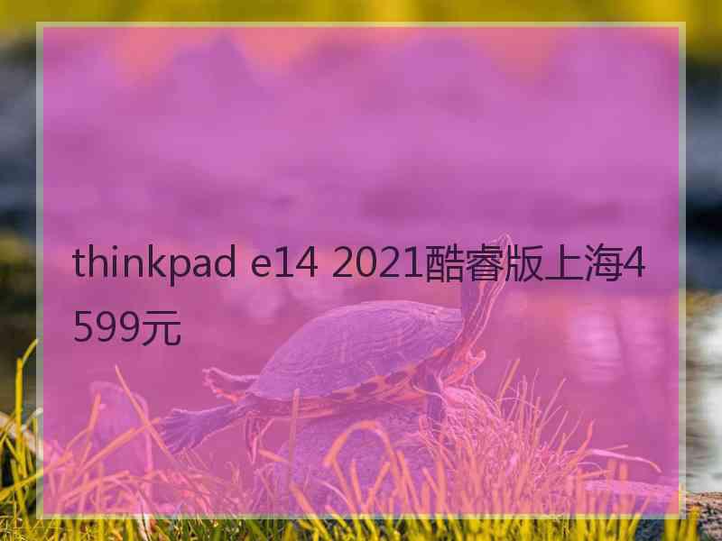 thinkpad e14 2021酷睿版上海4599元