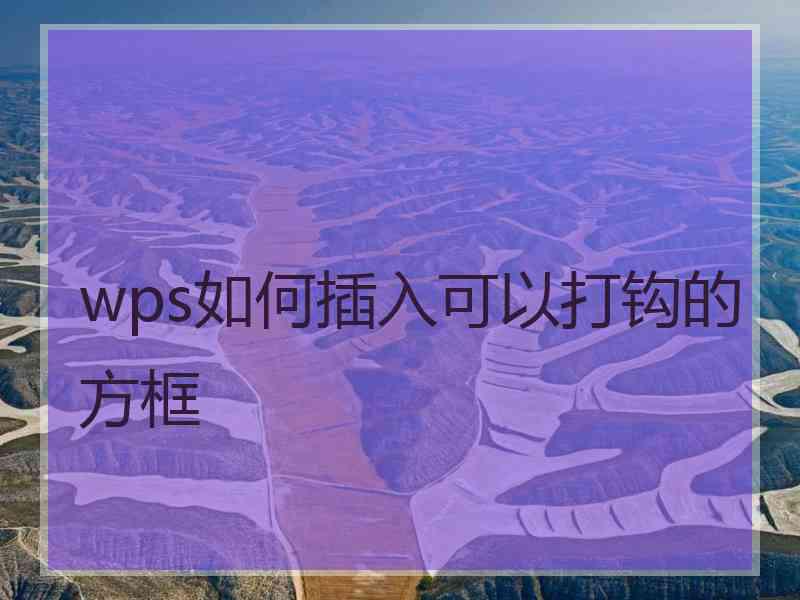 wps如何插入可以打钩的方框