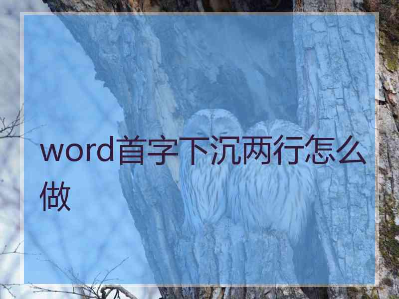 word首字下沉两行怎么做