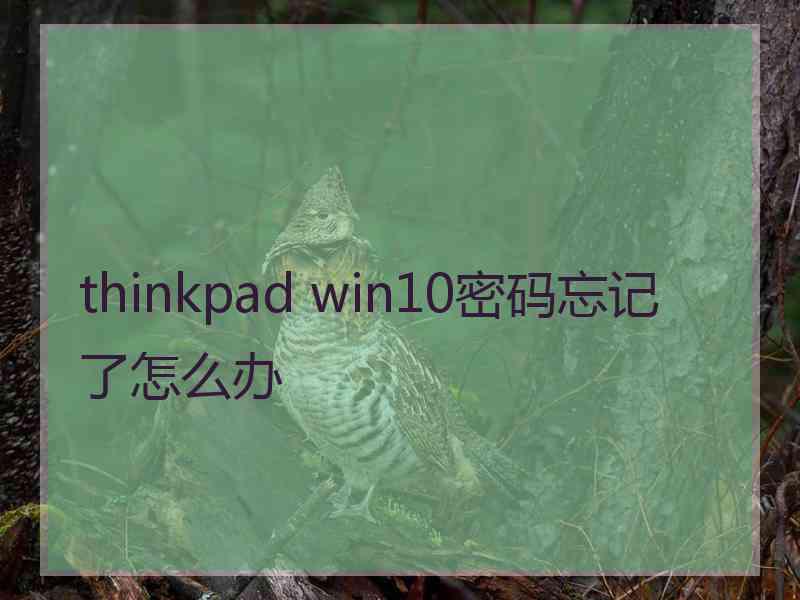 thinkpad win10密码忘记了怎么办