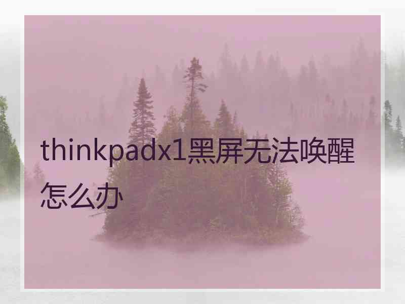 thinkpadx1黑屏无法唤醒怎么办