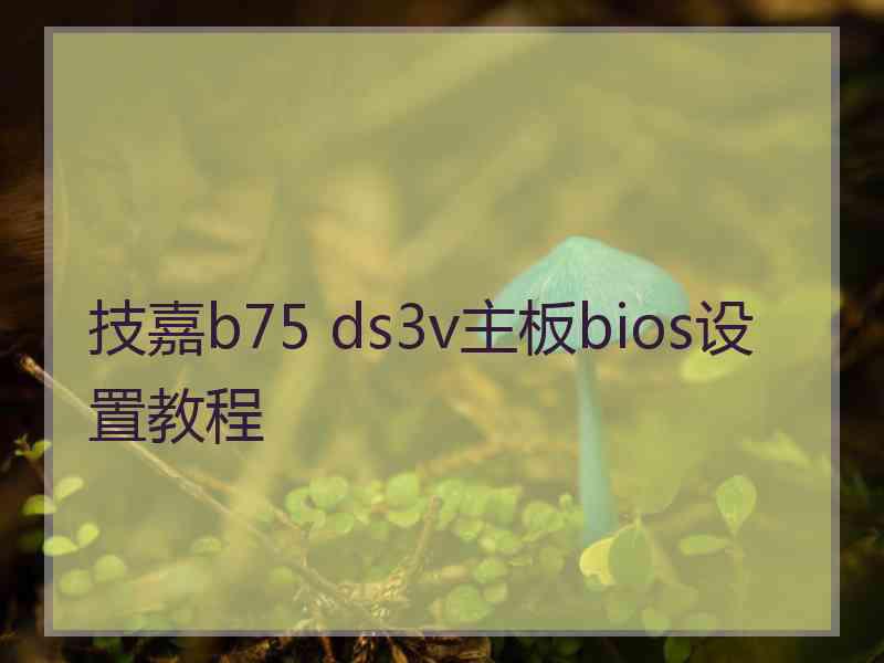 技嘉b75 ds3v主板bios设置教程