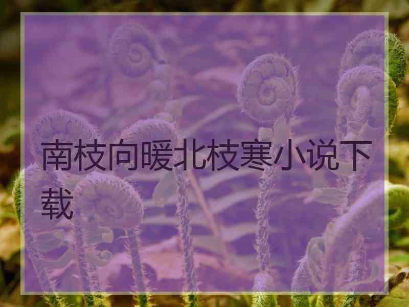 南枝向暖北枝寒小说下载