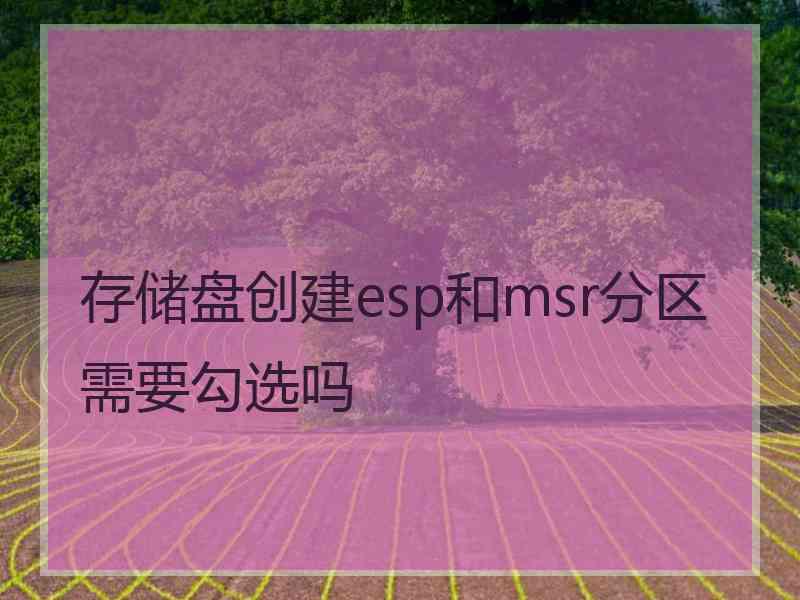 存储盘创建esp和msr分区需要勾选吗