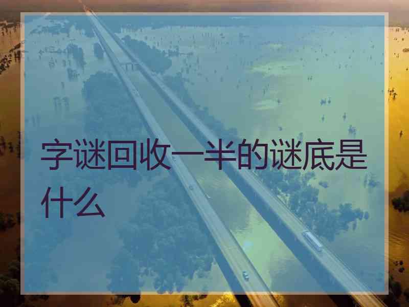 字谜回收一半的谜底是什么