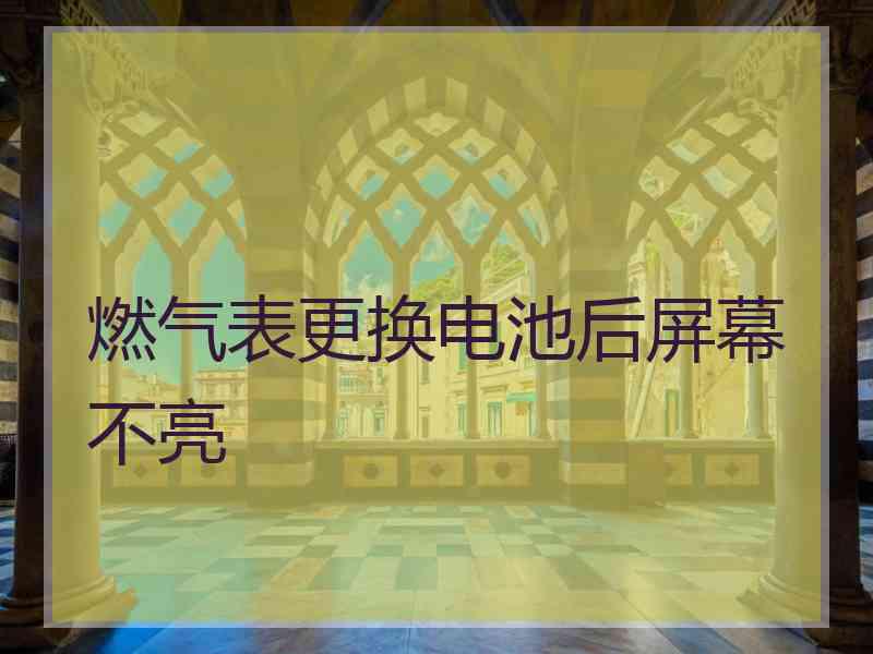 燃气表更换电池后屏幕不亮