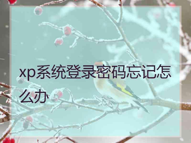 xp系统登录密码忘记怎么办