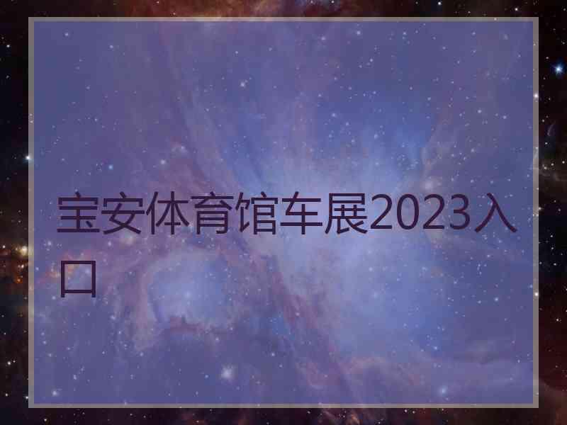 宝安体育馆车展2023入口