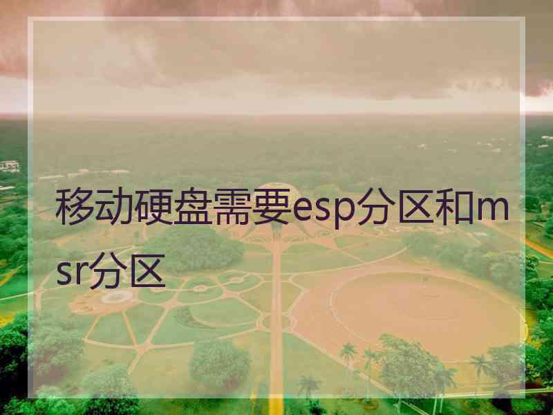 移动硬盘需要esp分区和msr分区