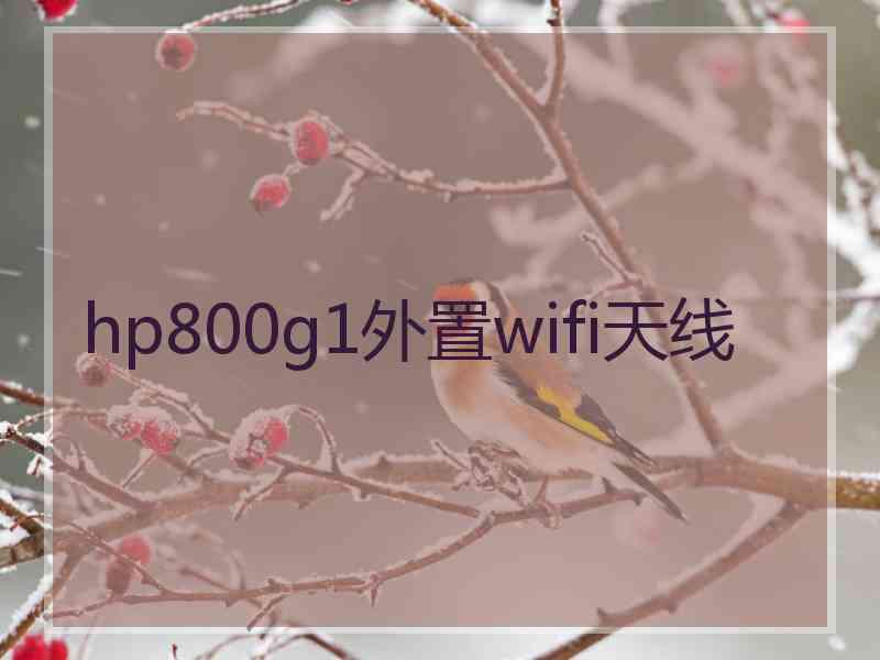 hp800g1外置wifi天线