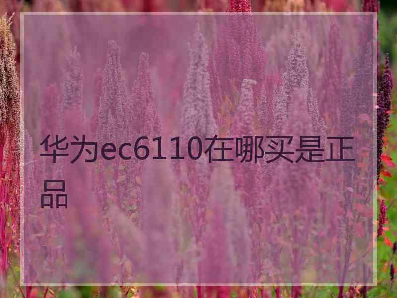 华为ec6110在哪买是正品