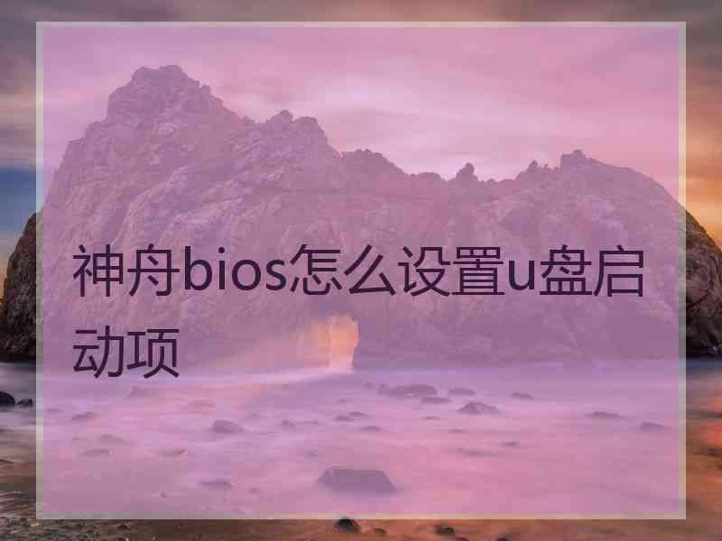 神舟bios怎么设置u盘启动项