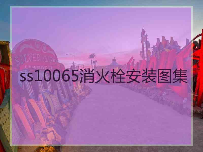 ss10065消火栓安装图集