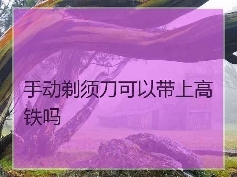 手动剃须刀可以带上高铁吗