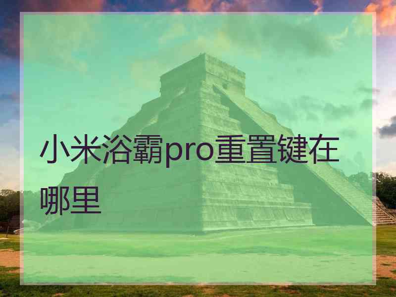 小米浴霸pro重置键在哪里