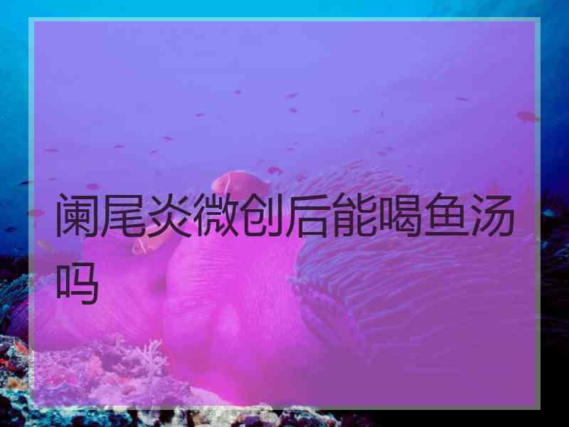 阑尾炎微创后能喝鱼汤吗