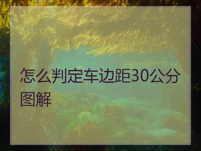 怎么判定车边距30公分图解