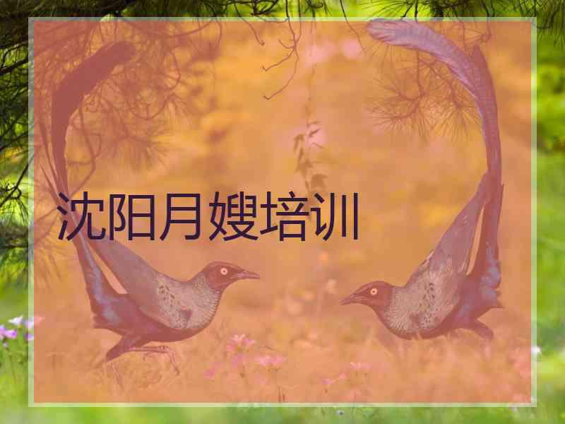 沈阳月嫂培训