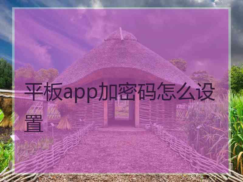 平板app加密码怎么设置