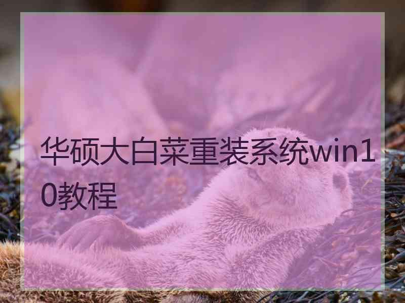 华硕大白菜重装系统win10教程