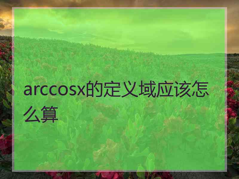 arccosx的定义域应该怎么算