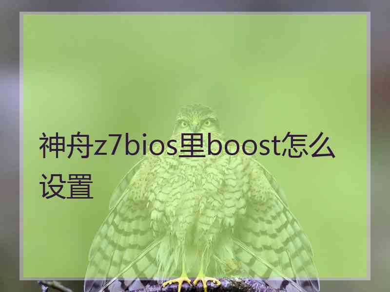 神舟z7bios里boost怎么设置