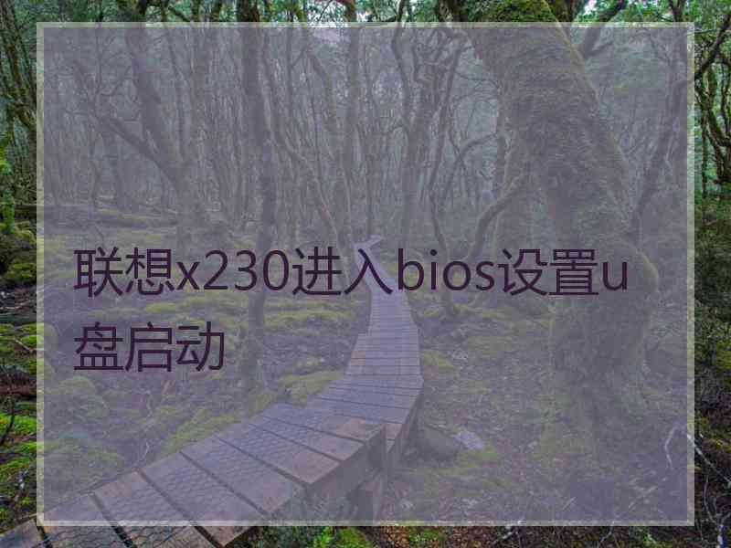 联想x230进入bios设置u盘启动