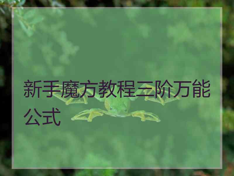 新手魔方教程三阶万能公式