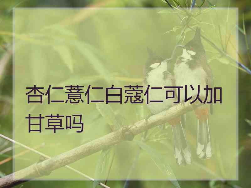 杏仁薏仁白蔻仁可以加甘草吗