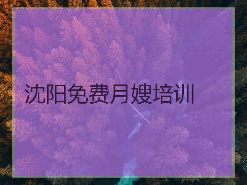 沈阳免费月嫂培训