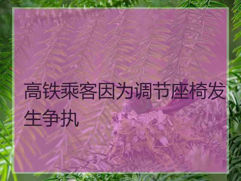 高铁乘客因为调节座椅发生争执