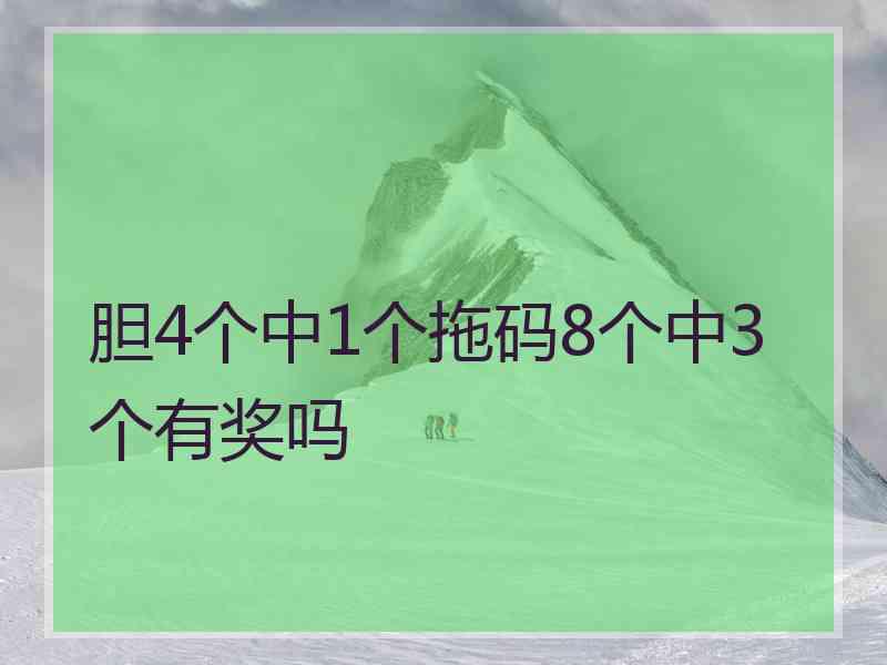 胆4个中1个拖码8个中3个有奖吗