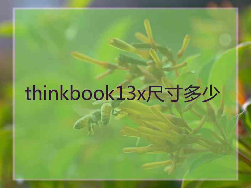 thinkbook13x尺寸多少