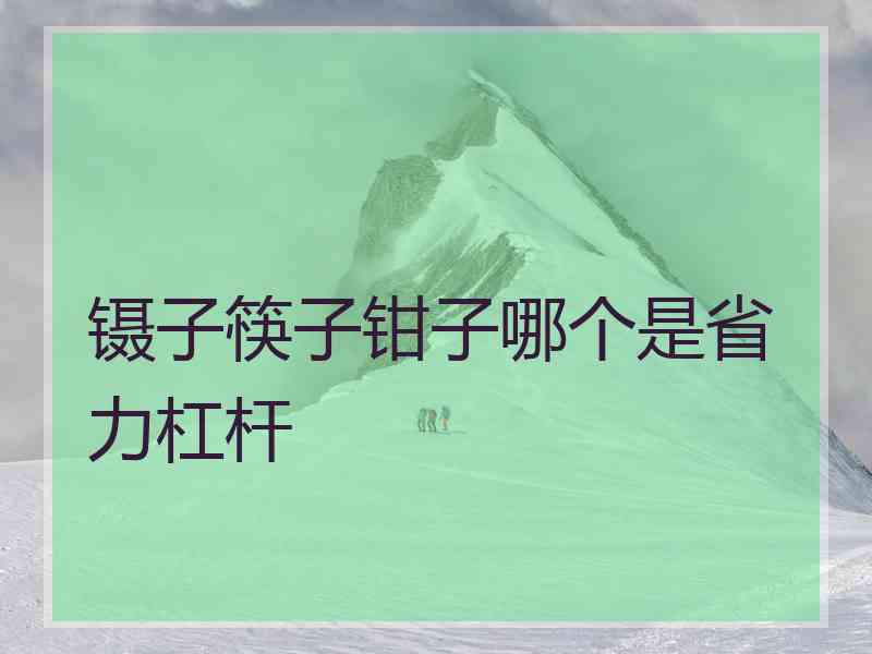 镊子筷子钳子哪个是省力杠杆