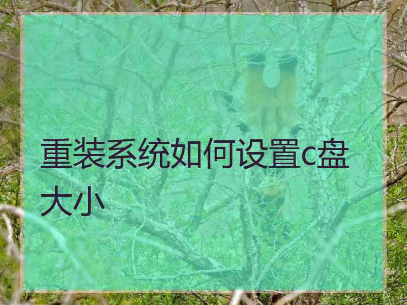 重装系统如何设置c盘大小