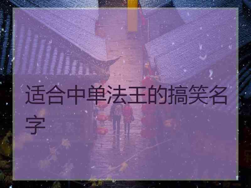 适合中单法王的搞笑名字