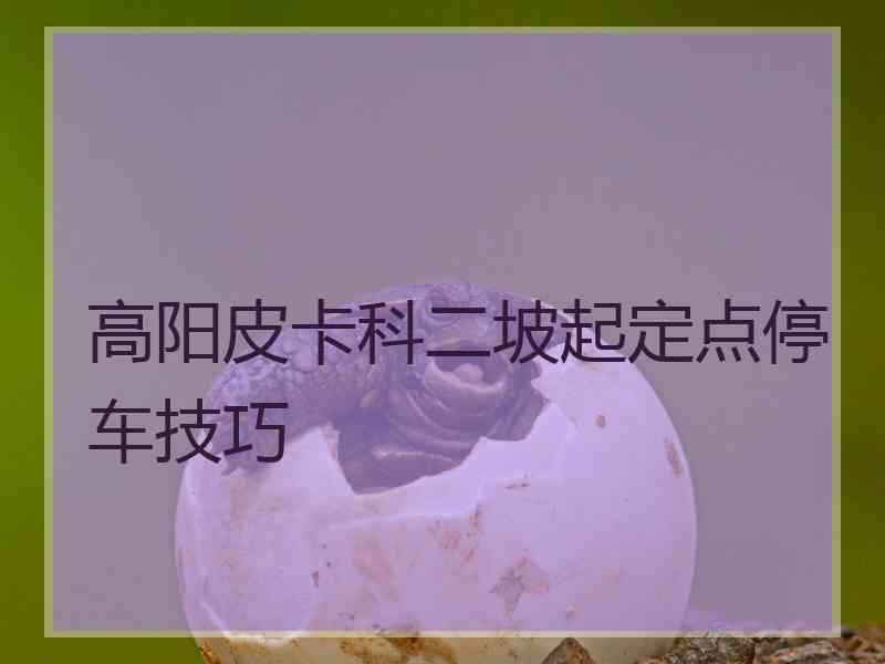 高阳皮卡科二坡起定点停车技巧