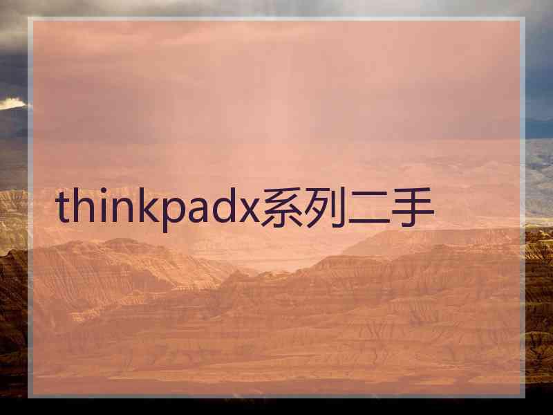 thinkpadx系列二手