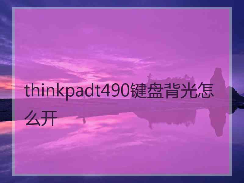 thinkpadt490键盘背光怎么开