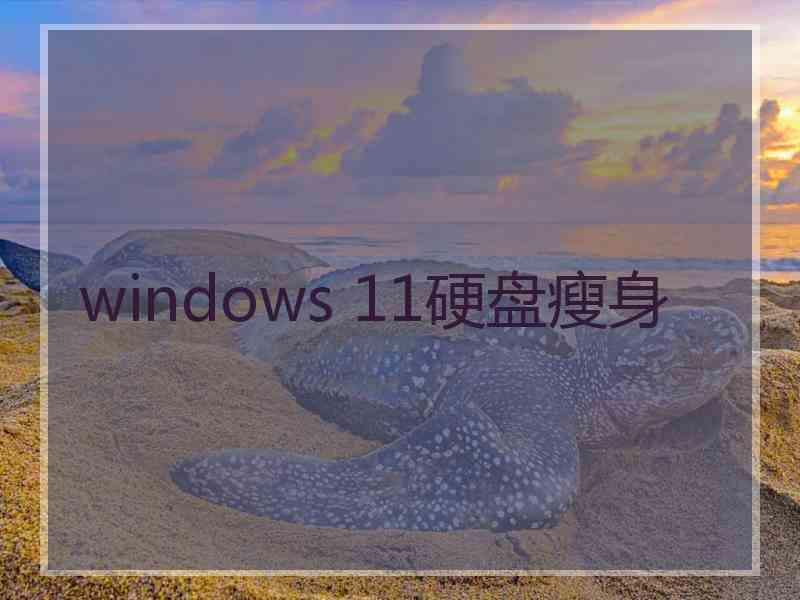 windows 11硬盘瘦身