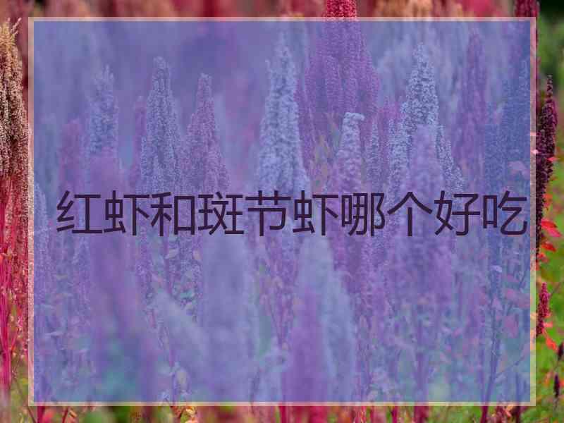 红虾和斑节虾哪个好吃