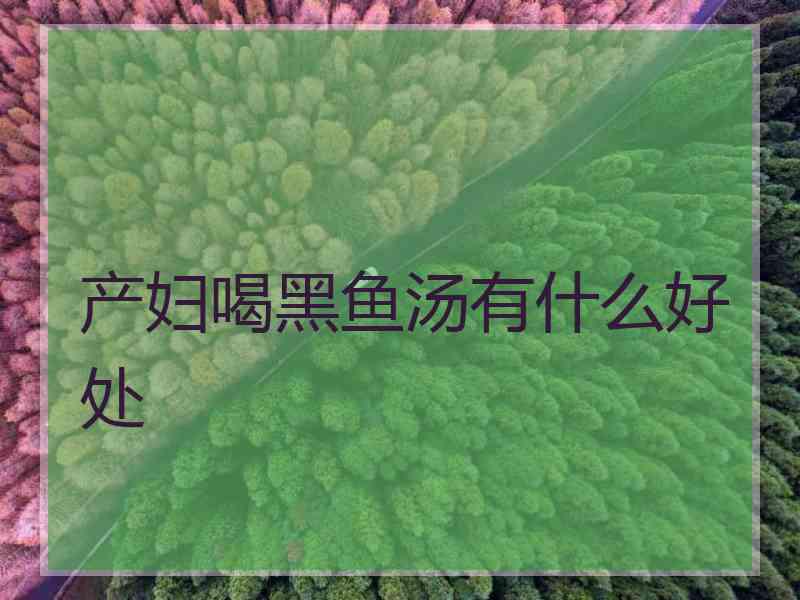 产妇喝黑鱼汤有什么好处